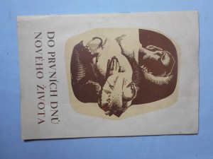 náhled knihy - Do prvních dnů nového života
