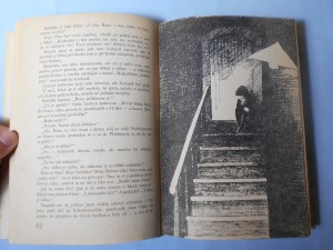 náhled knihy - 
