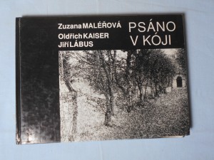 náhled knihy - Psáno v kóji