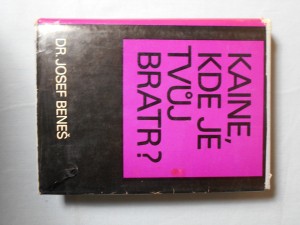náhled knihy - Kaine, kde je tvůj bratr? : medailony českých katolických kněží - oběti fašismu