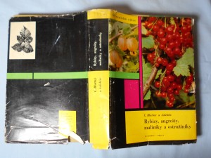 náhled knihy - Rybízy, angrešty, maliníky a ostružiníky