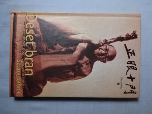 náhled knihy - Deset bran : kong-anové učení zenového mistra Seung Sahna