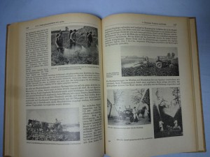 náhled knihy - 