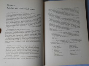 náhled knihy - 