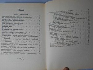 náhled knihy - 