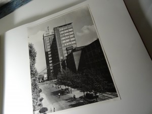 náhled knihy - 