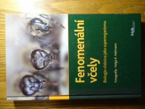 náhled knihy - Fenomenální včely : biologie včelstva jako superorganizmu