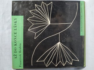 náhled knihy - Až do konce lásky