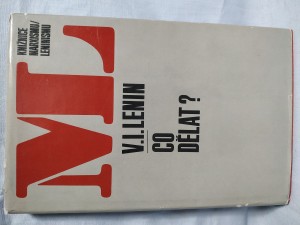 náhled knihy - Co dělat?