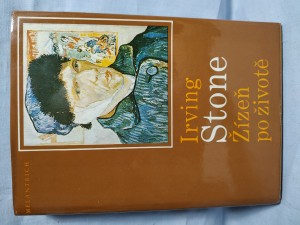 náhled knihy - Žízeň po životě : román o Vincentu van Goghovi