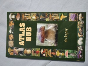 náhled knihy - Atlas hub Atlas hub do kapsy