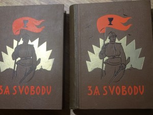 náhled knihy - Za svobodu : obrázková kronika československého revolučního hnutí na Rusi 1914-1920