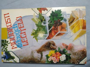náhled knihy - Moudrosti lidových léčitelů