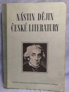 náhled knihy - Nástin dějin české literatury od počátku národního obrození až do současnosti : pomocná kniha literární historie pro 9.-11. postupný ročník škol všeobecně vzdělávacích, pro školy pedagogické a odborné