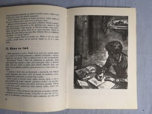náhled knihy - 