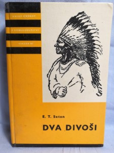 náhled knihy - Dva divoši : o dobrodružstvích dvou chlapců, kteří žili jako Indiáni, a o tom, co všechno se naučili