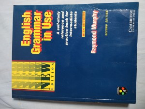 náhled knihy - English grammar in use : a self-study reference and practice book for intermediate students : with answers