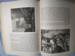 náhled knihy - 
