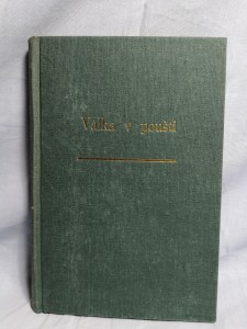 náhled knihy - Válka v poušti : záznamy britských zpravodajů