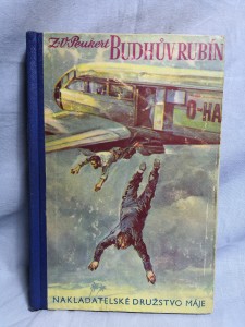náhled knihy - Budhův rubín