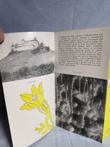 náhled knihy - 