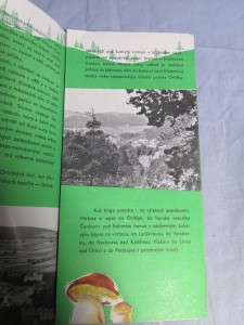 náhled knihy - 