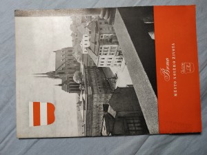 náhled knihy - Brno: město nového života