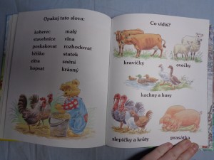 náhled knihy - 
