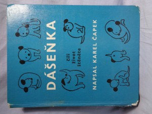 náhled knihy - Dášeňka, čili, Život štěněte : pro malé čtenáře