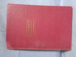 náhled knihy - Liturgie patriarchy K. Farského