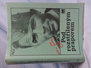 náhled knihy - Pod rozstříleným praporem