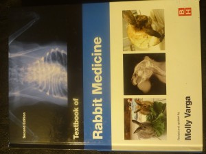 náhled knihy - Textbook of rabbit medicine : revised and edited