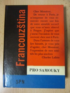 náhled knihy - Francouzština pro samouky