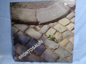 náhled knihy - Brontosauři – Na Kameni Kámen