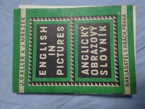 náhled knihy - English in pictures: Anglický obrázkový slovník: Se stručným přehledem anglické gramatiky