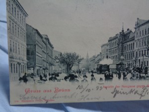 náhled knihy - 