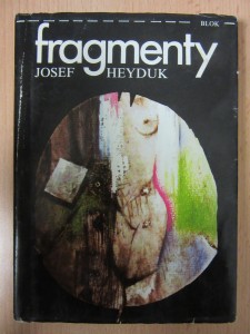 náhled knihy - Fragmenty