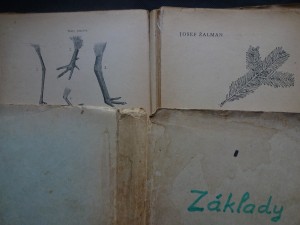 náhled knihy - Základy myslivosti s mysliveckou abecedou. Díl I