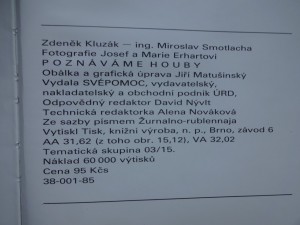 náhled knihy - 