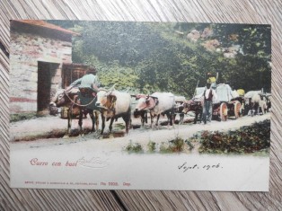 náhled knihy - Carro con buoi No. 11108. Dep.