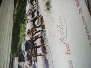 náhled knihy - 