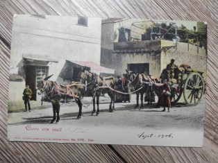 náhled knihy - Carro con muli No. 11218