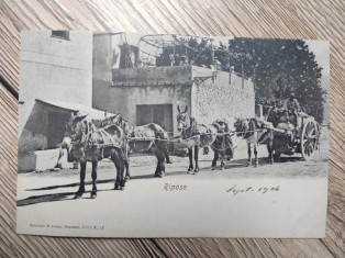 náhled knihy - Riposo 