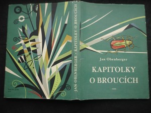 náhled knihy - Kapitolky o broucích