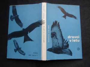 náhled knihy - Dravci v letu