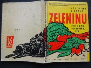 náhled knihy - Pěstujme a jezme zeleninu - potravu, pochoutku, lék