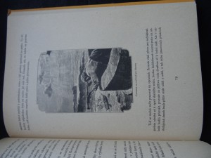 náhled knihy - 