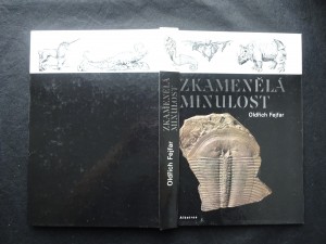 náhled knihy - Zkamenělá minulost
