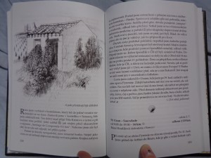 náhled knihy - 