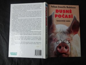 náhled knihy - Dusné počasí
